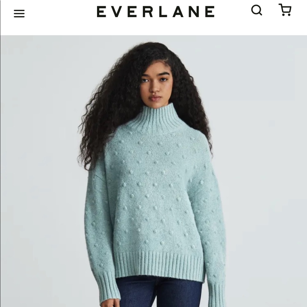 Everlane NYT alpaca Pom Pom sweater.